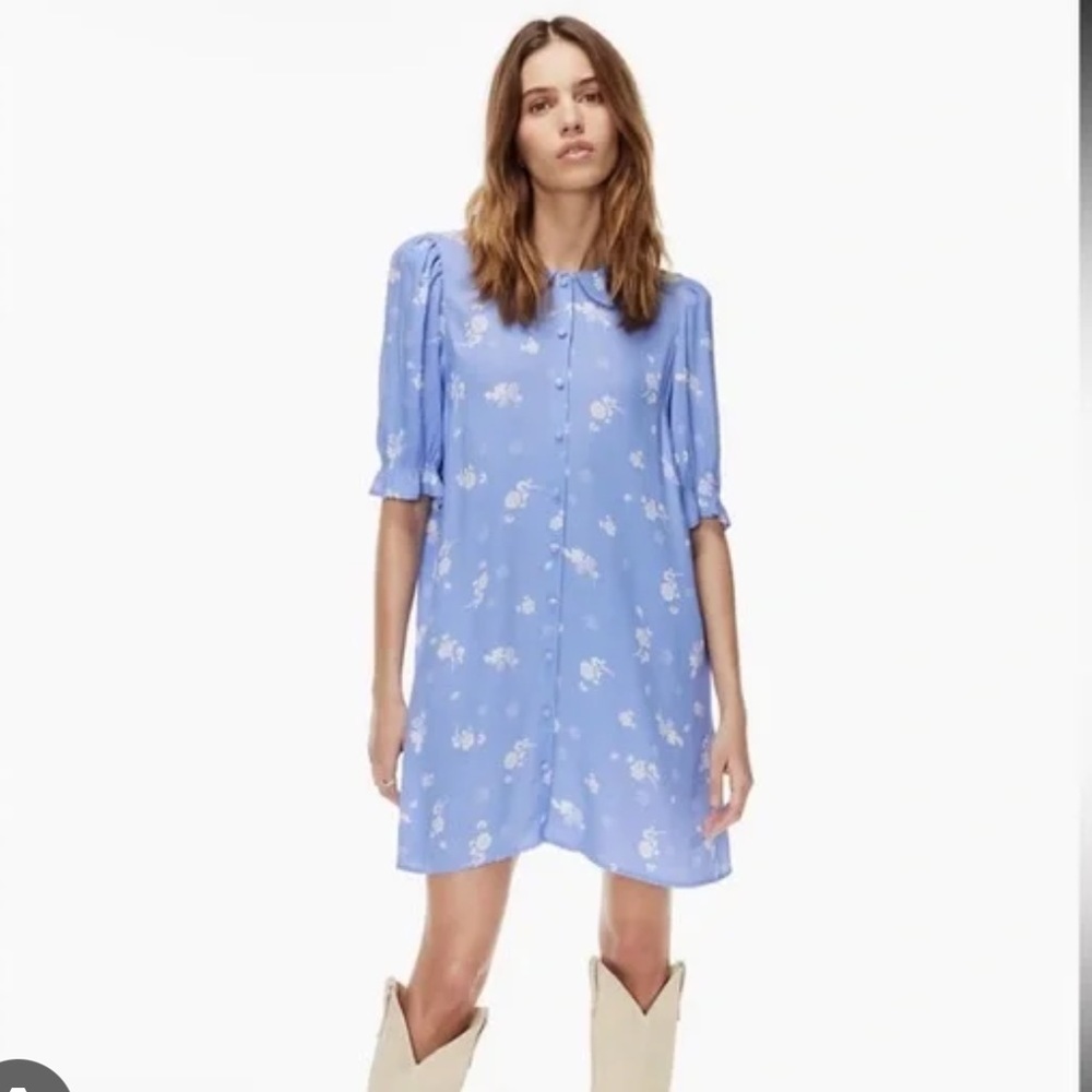 Aritzia Wilfred Poppins Dress